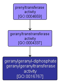 GO:0016767 - geranylgeranyl-diphosphate geranylgeranyltransferase activity (interactive image map)