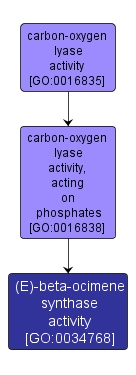 GO:0034768 - (E)-beta-ocimene synthase activity (interactive image map)