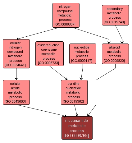 GO:0006769 - nicotinamide metabolic process (interactive image map)