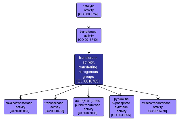 GO:0016769 - transferase activity, transferring nitrogenous groups (interactive image map)