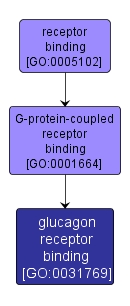 GO:0031769 - glucagon receptor binding (interactive image map)