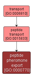 GO:0000770 - peptide pheromone export (interactive image map)