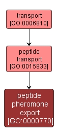 GO:0000770 - peptide pheromone export (interactive image map)