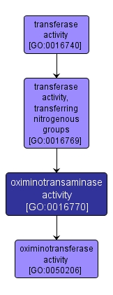 GO:0016770 - oximinotransaminase activity (interactive image map)
