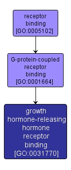 GO:0031770 - growth hormone-releasing hormone receptor binding (interactive image map)