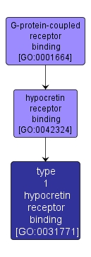 GO:0031771 - type 1 hypocretin receptor binding (interactive image map)