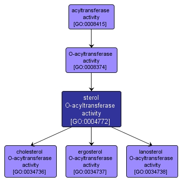 GO:0004772 - sterol O-acyltransferase activity (interactive image map)