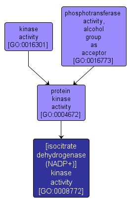 GO:0008772 - [isocitrate dehydrogenase (NADP+)] kinase activity (interactive image map)