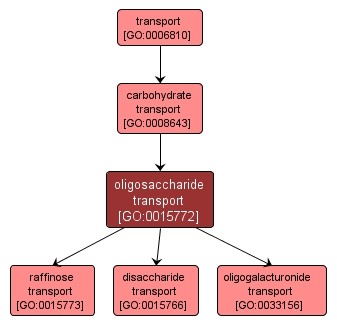 GO:0015772 - oligosaccharide transport (interactive image map)