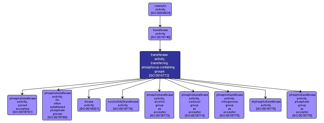 GO:0016772 - transferase activity, transferring phosphorus-containing groups (interactive image map)