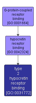 GO:0031772 - type 2 hypocretin receptor binding (interactive image map)