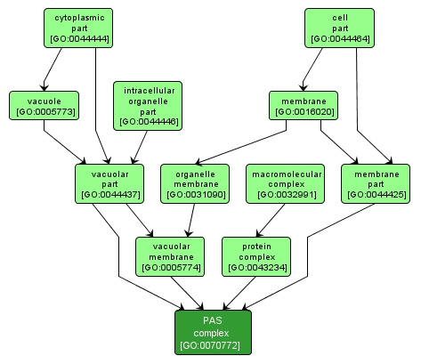 GO:0070772 - PAS complex (interactive image map)