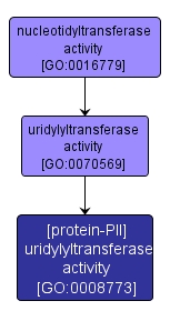 GO:0008773 - [protein-PII] uridylyltransferase activity (interactive image map)