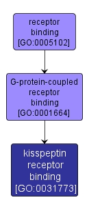 GO:0031773 - kisspeptin receptor binding (interactive image map)