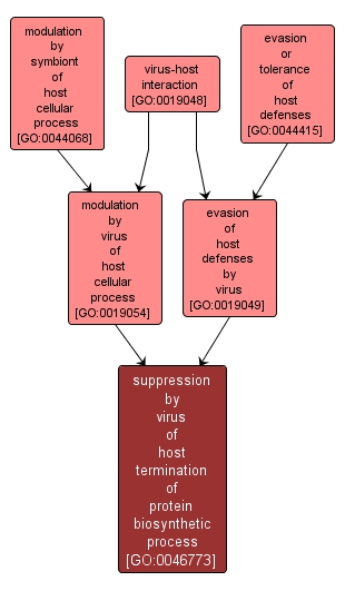 GO:0046773 - suppression by virus of host termination of protein biosynthetic process (interactive image map)