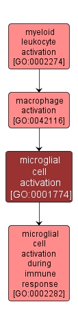 GO:0001774 - microglial cell activation (interactive image map)