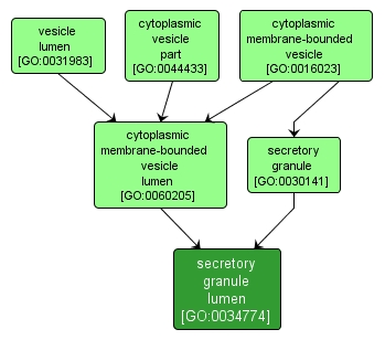 GO:0034774 - secretory granule lumen (interactive image map)
