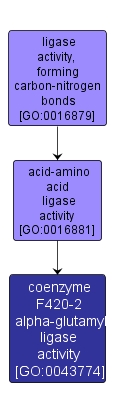 GO:0043774 - coenzyme F420-2 alpha-glutamyl ligase activity (interactive image map)