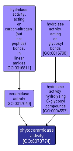 GO:0070774 - phytoceramidase activity (interactive image map)