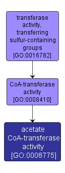 GO:0008775 - acetate CoA-transferase activity (interactive image map)