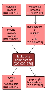 GO:0001776 - leukocyte homeostasis (interactive image map)