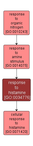 GO:0034776 - response to histamine (interactive image map)