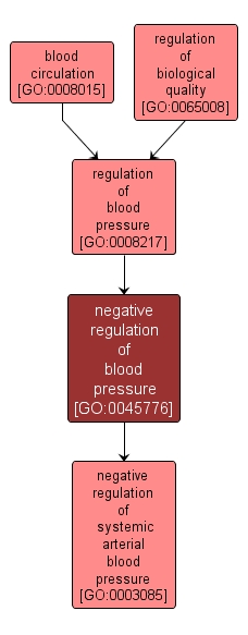 GO:0045776 - negative regulation of blood pressure (interactive image map)