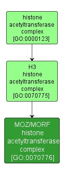 GO:0070776 - MOZ/MORF histone acetyltransferase complex (interactive image map)