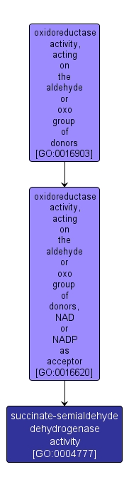 GO:0004777 - succinate-semialdehyde dehydrogenase activity (interactive image map)