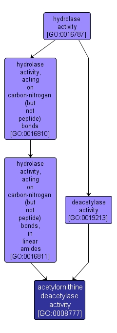 GO:0008777 - acetylornithine deacetylase activity (interactive image map)