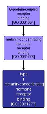 GO:0031777 - type 1 melanin-concentrating hormone receptor binding (interactive image map)