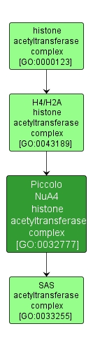 GO:0032777 - Piccolo NuA4 histone acetyltransferase complex (interactive image map)