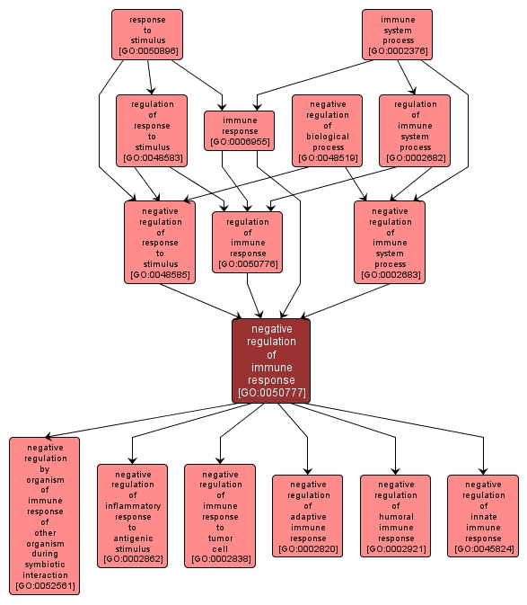 GO:0050777 - negative regulation of immune response (interactive image map)