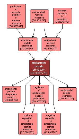 GO:0002778 - antibacterial peptide production (interactive image map)