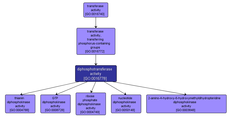 GO:0016778 - diphosphotransferase activity (interactive image map)