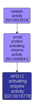 GO:0019778 - APG12 activating enzyme activity (interactive image map)