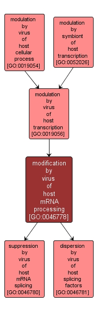 GO:0046778 - modification by virus of host mRNA processing (interactive image map)