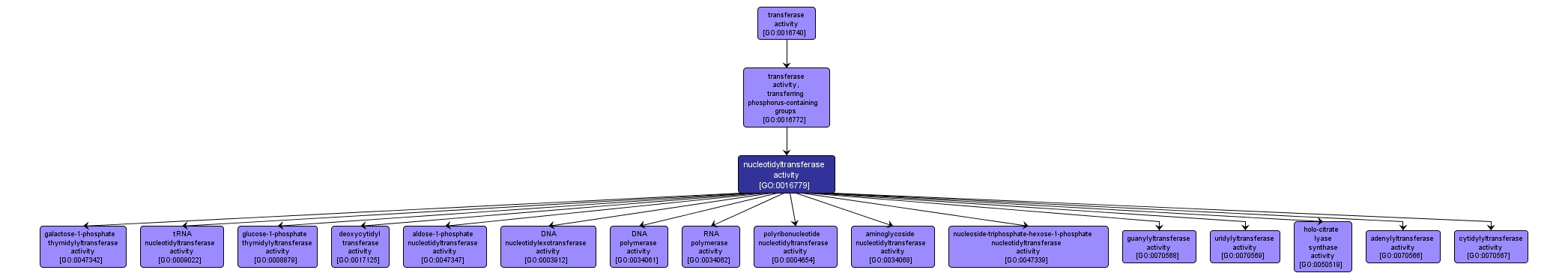 GO:0016779 - nucleotidyltransferase activity (interactive image map)