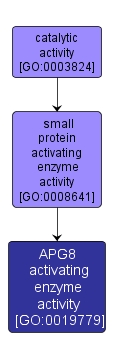 GO:0019779 - APG8 activating enzyme activity (interactive image map)