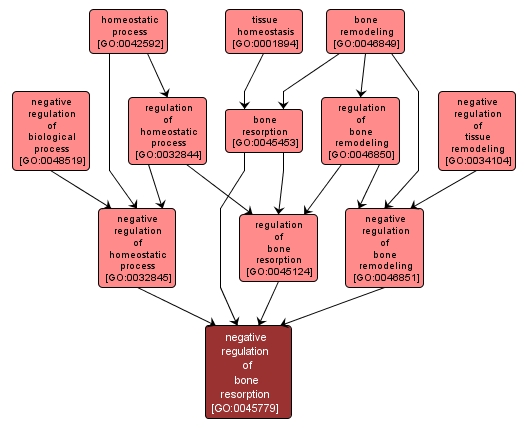 GO:0045779 - negative regulation of bone resorption (interactive image map)