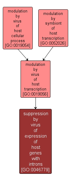 GO:0046779 - suppression by virus of expression of host genes with introns (interactive image map)