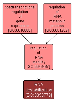 GO:0050779 - RNA destabilization (interactive image map)