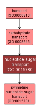 GO:0015780 - nucleotide-sugar transport (interactive image map)