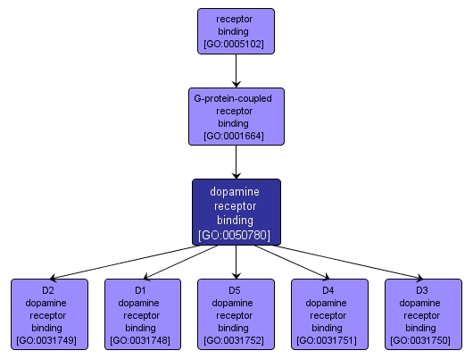 GO:0050780 - dopamine receptor binding (interactive image map)