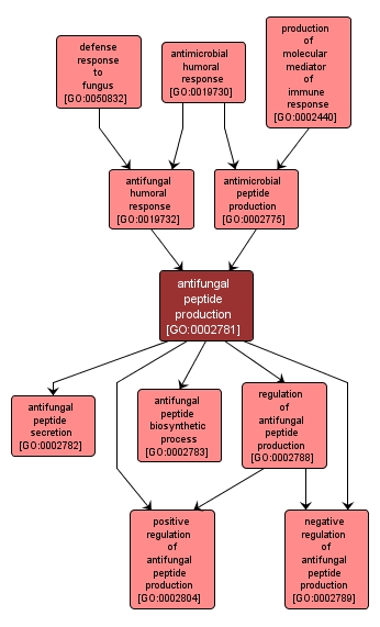 GO:0002781 - antifungal peptide production (interactive image map)