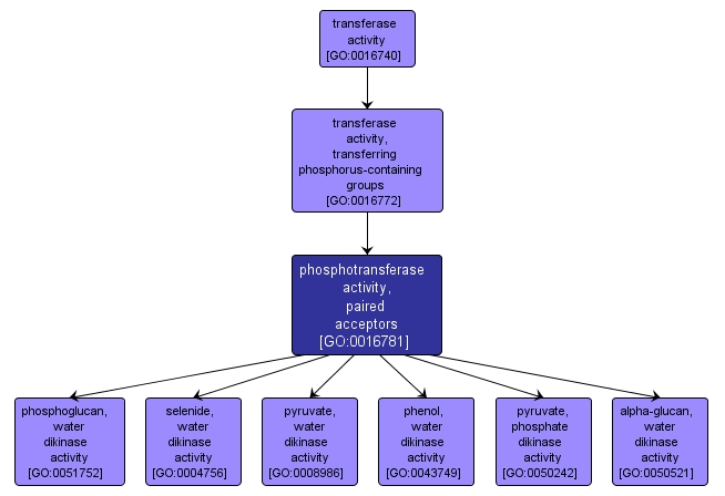 GO:0016781 - phosphotransferase activity, paired acceptors (interactive image map)