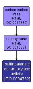 GO:0004782 - sulfinoalanine decarboxylase activity (interactive image map)