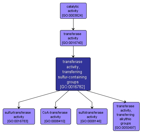 GO:0016782 - transferase activity, transferring sulfur-containing groups (interactive image map)