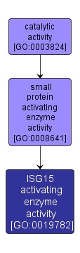 GO:0019782 - ISG15 activating enzyme activity (interactive image map)