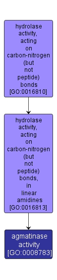 GO:0008783 - agmatinase activity (interactive image map)